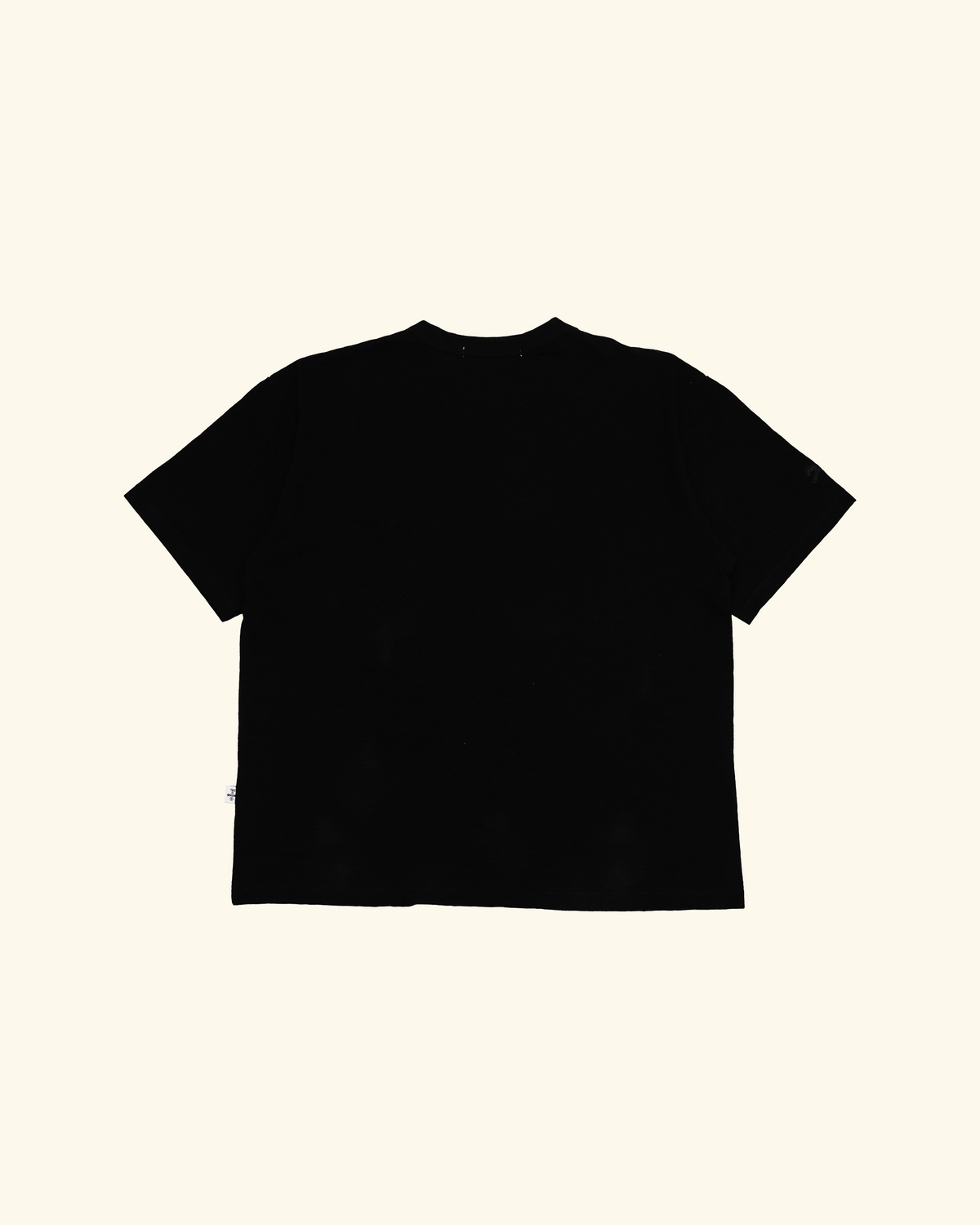 RAWTYPE RIOT Eagle Raw Tee - Black