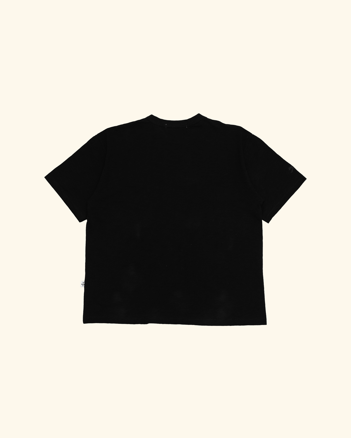 RAWTYPE RIOT Rtr Slub Blank Tees - Black & White